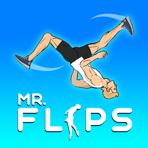  Mr. Flips
